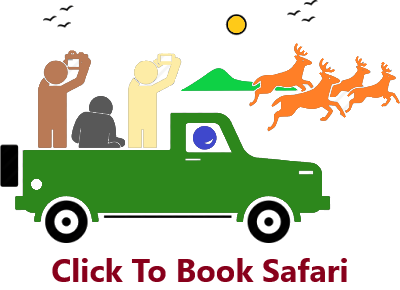click-to-book-safari
